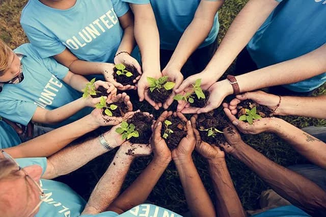Community service by Sakthi Sudar Foundation