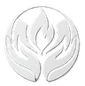 Sakthi Sudar Foundation logo